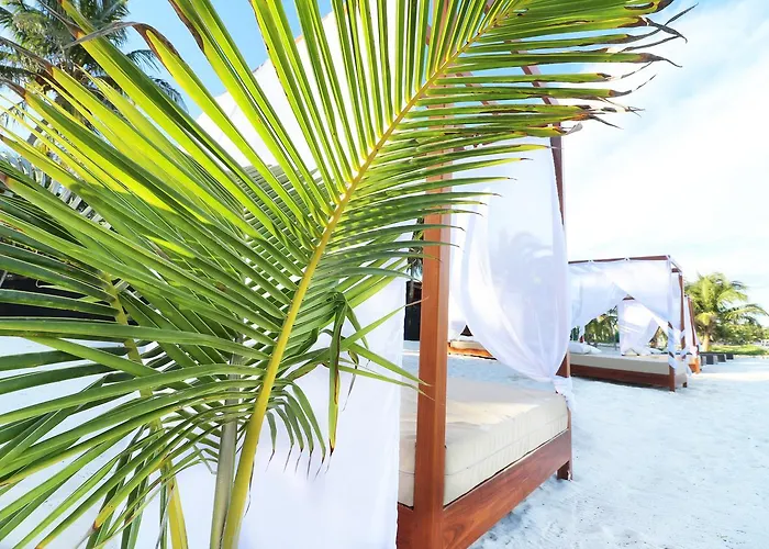 Amigos Boutique 4*